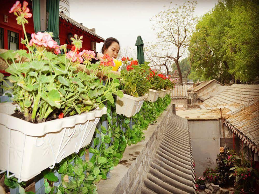 Beijing 161 Lama Temple Courtyard Hotel Ngoại thất bức ảnh